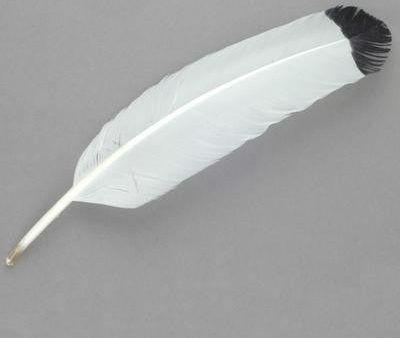 Imitation Eagle Feathers 4pk Online now