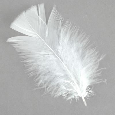 White Feathers For Sale