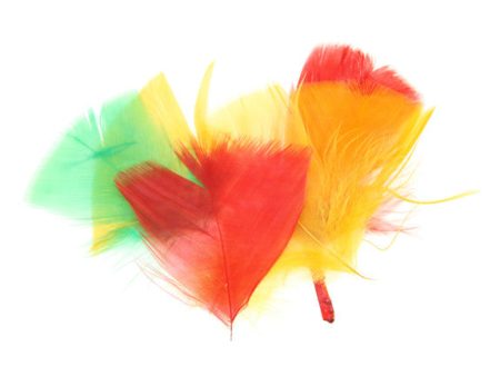 Coloured Feathers - Assorted Colours 28g Supply