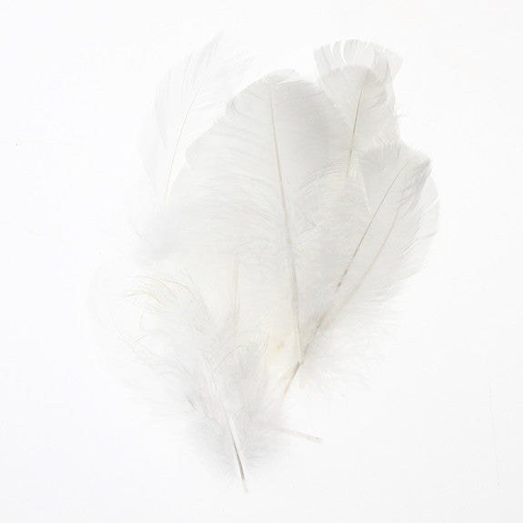 Feather Leaves Nat White12 Pk Online now