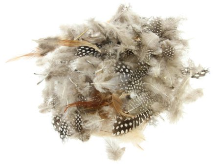 Natural Feathers 14g Online