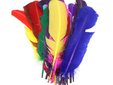 Indian Quill Feathers - 25 Pack Online