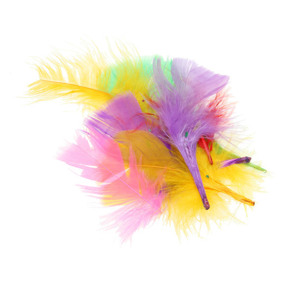 Coloured Feathers - 14g Online Sale