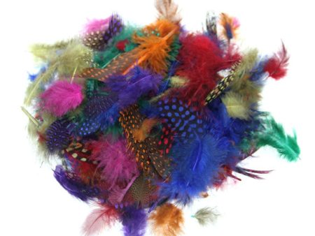 Feathers Small Spotted & Plume 7g Online Sale