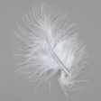 Marabou Feathers For Discount