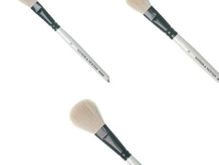 Winsor & Newton Brush Series 240 Cheap