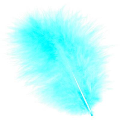 Marabou Feathers For Discount