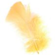 Feather Petals Hot on Sale