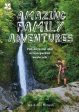 Trust National: Amazing Family Adventures [2017] paperback Sale